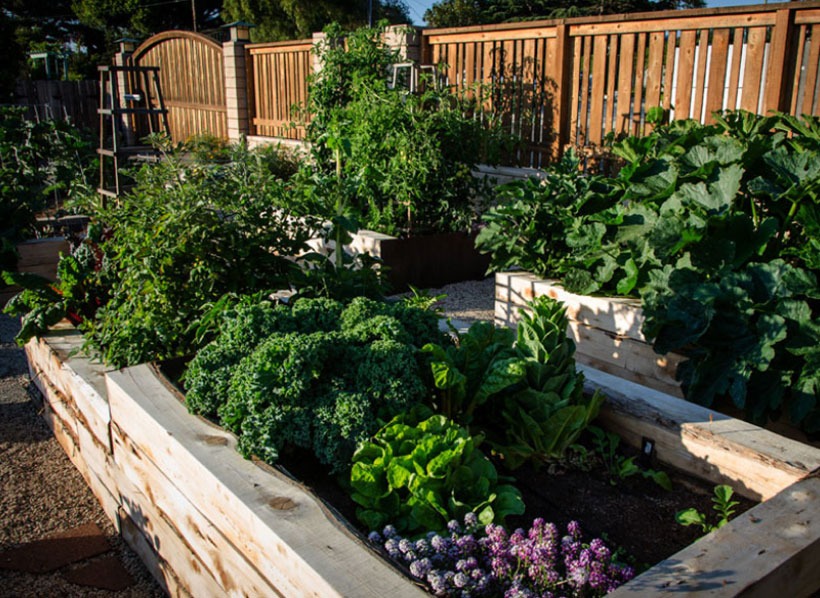 Organic and Sustainable services